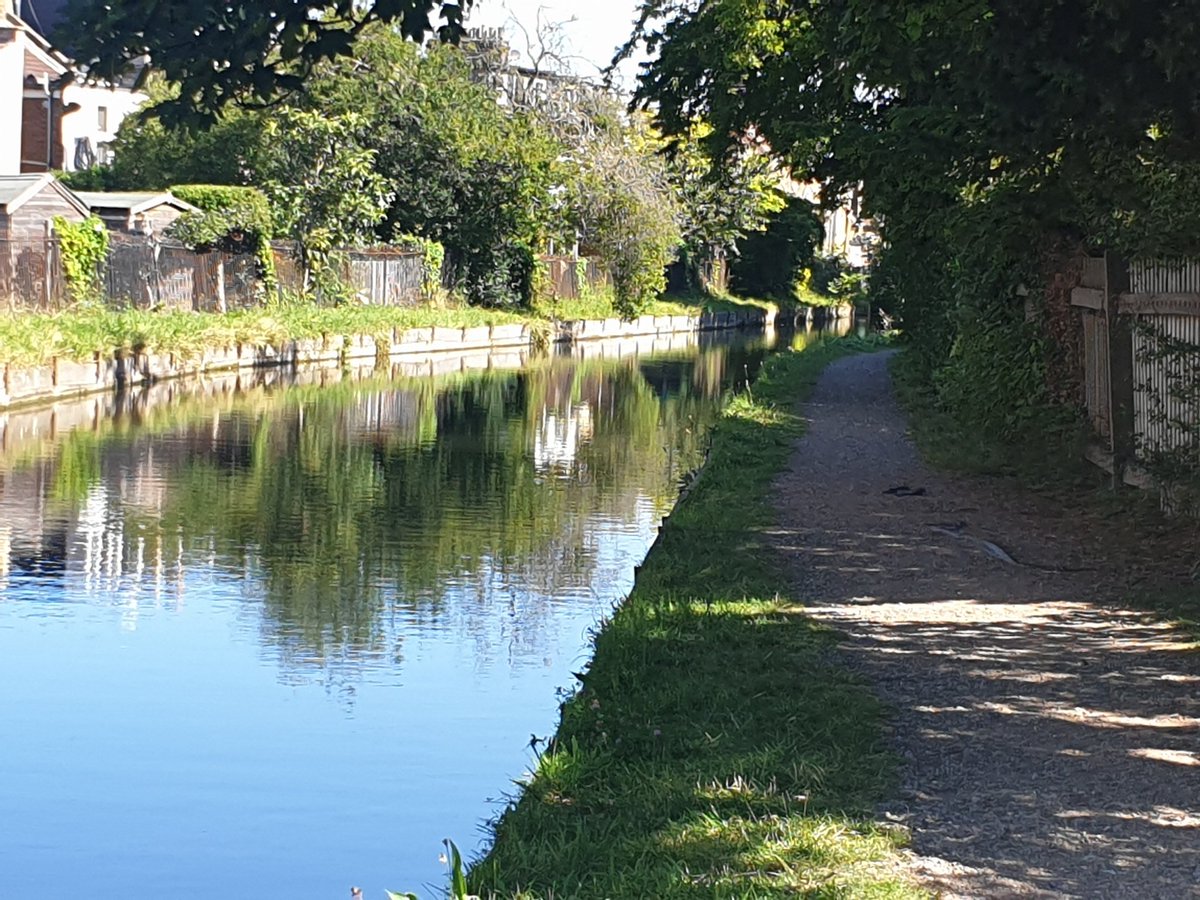 lmdasneves's tweet photo. The new river looking lovely this morning.... https://t.co/tcwCQOS9iP
