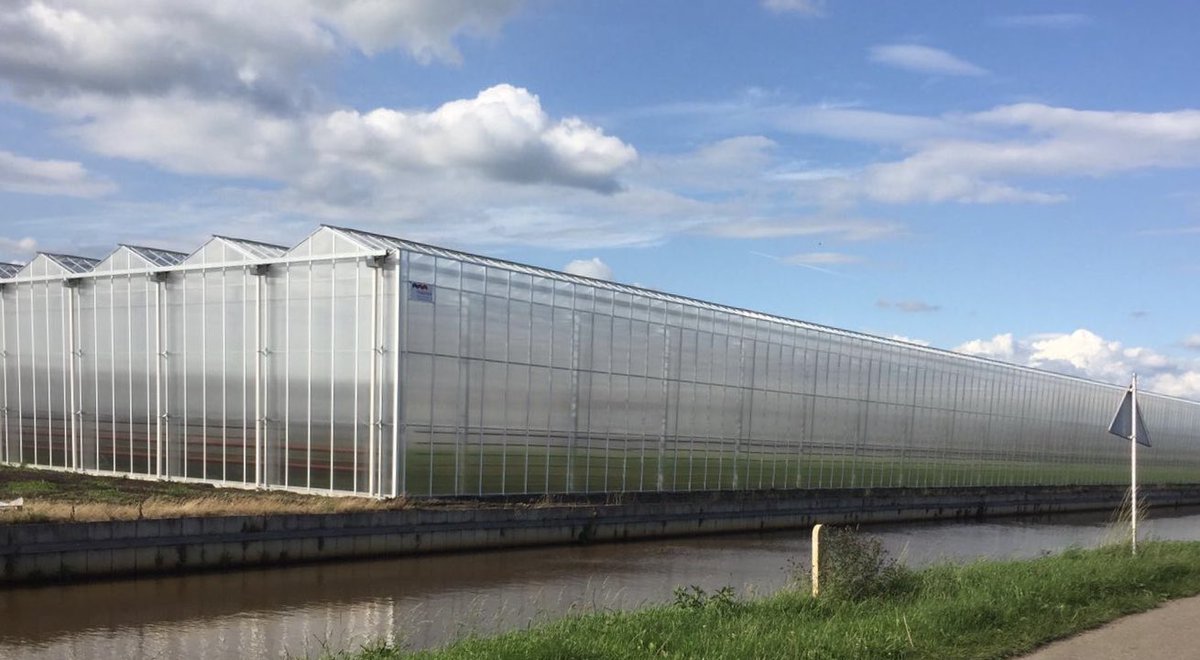 De werkzaamheden voor nieuwbouw van Pepper Unlimited en IJsselgrow zijn ook in volle gang. 
📷LW