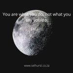 Photo by Selhurst Recruitment (@Selhurst2005)