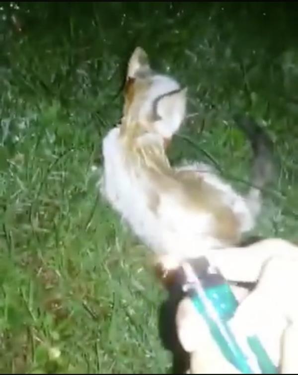 أخبار 24 tweet media