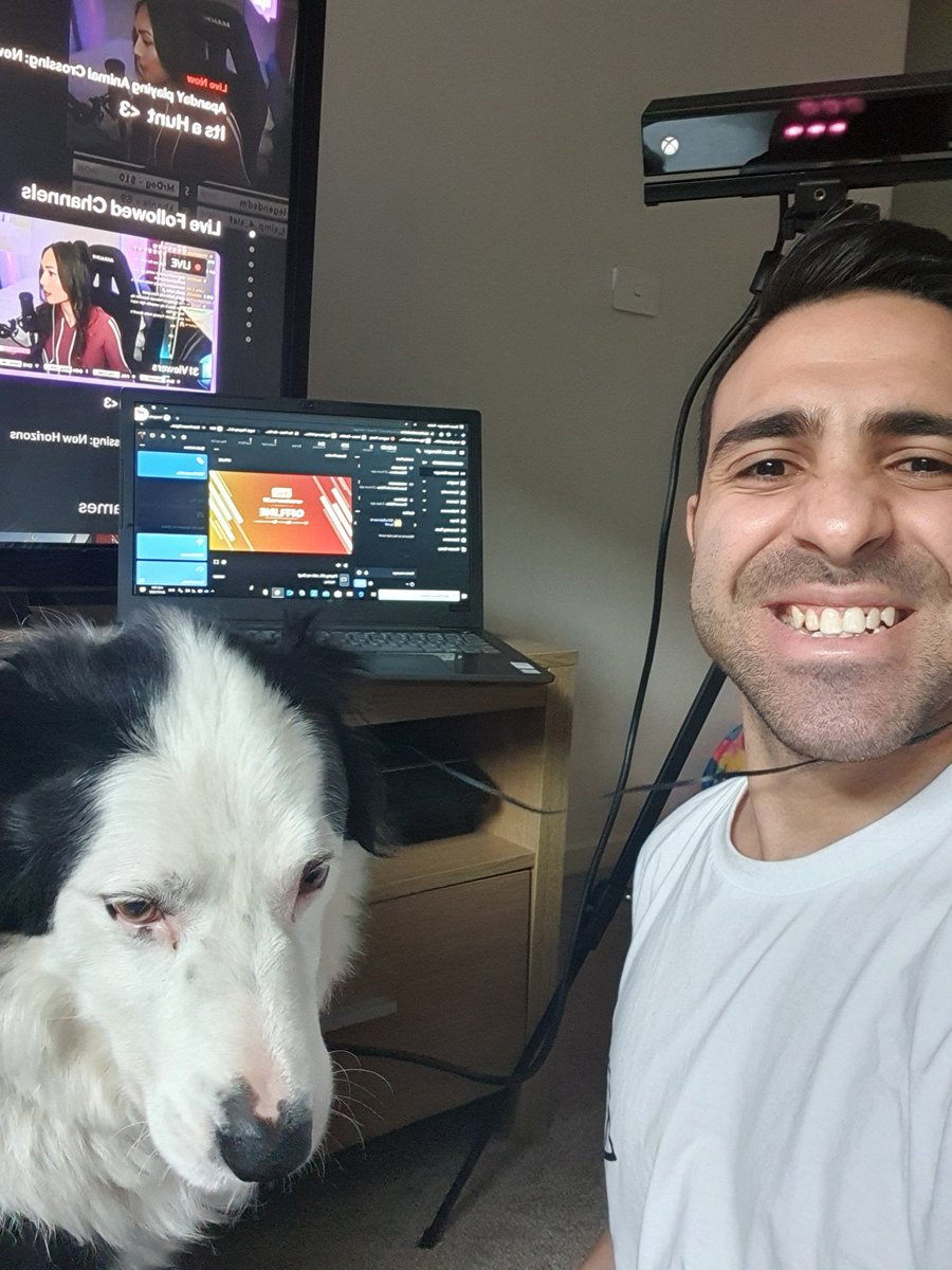 nerds4lifeblog's tweet photo. Going live and playing #AFLEvolution2 with my dog. Check us out here: https://t.co/SyQnArEGpY
#AFL #SupportSmallStreams #SmallStreamersConnect #smallstreamers #twitch #twitchstreamer #twitchaffiliate #dogsoftwitter #doggo #PuppyPlay #doggamer #dog https://t.co/gu9hqiUKjJ