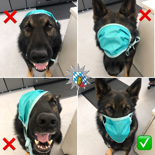 Laineyrain (@blandsalt71) on Twitter photo 