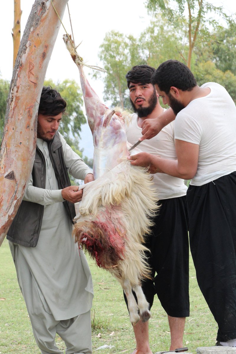 saeed_pacha's tweet photo. انشالله کرونا له خيره ختمه ده !
مونږ خو بيرته عادى جوند ته ګرزيدلى يو #ميلى او بنډارونه https://t.co/lS24Jtjjb6