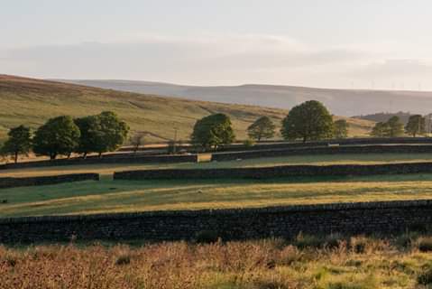 MikeBisson11's tweet photo. The gorgeous sunrise yesterday morning, meant that I captured some lovely long shadows in this image.
Cragg Vale, Calderdale, West Yorkshire.

#craggvale #calderdale #westyorkshire #landscapephotography #countryfile #countryside #yorkshirelife https://t.co/yrZuqLF1vb