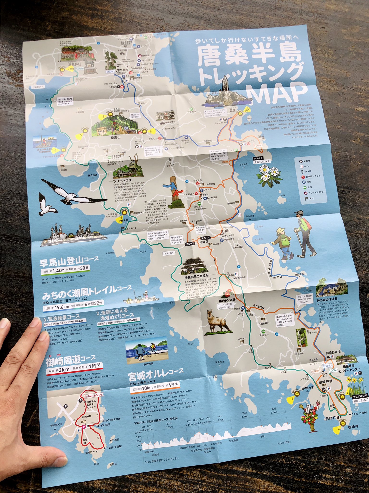 斉藤道有 東北ツリーハウス観光協会 唐桑半島トレッキングmapにツリーハウスがイラスト 付きで掲載されました 市民有志の ば ば ば プロジェクト が制作 発行したこのパンフは 手書きのイラストや観光客目線で情報が分かりやすくまとまっていますね