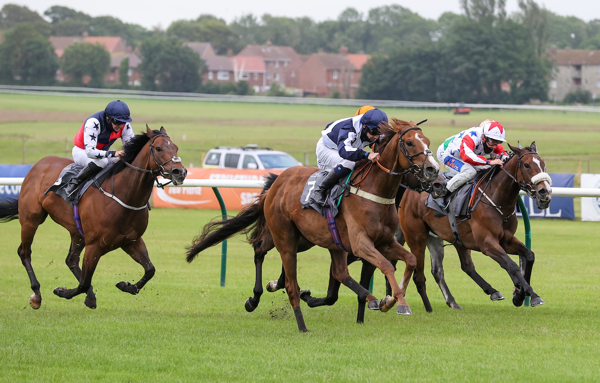 ayrracecourse's tweet photo. @chbmedical #keepingscotlandsafe raceday behind closed doors @ayrracecourse today with the first of 9 races due off at 12.45pm Mike Smith's course specialist Glasses Up is among the runners in the feature race the Thanks To NHS And Frontline Workers Handicap at 4.20pm https://t.co/svtoJbz0tv