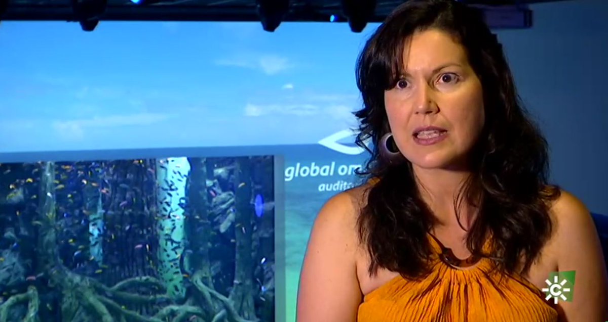 💪 En tiempos complicados, sobrevive el que mejor resiste al cambio...

📺 La reinvención de nuestro auditorio con eventos híbridos #Tech4Events en el #reportReinventarse de <a href="/losreporteroscs/">Los Reporteros</a> <a href="/canalsur/">CanalSur</a> con <a href="/MariaGilCabrera/">María Gil Cabrera</a> <a href="/AndresAlfonsoCC/">Andrés A. Camara Cañaveral</a> #eventos 

canalsur.es/multimedia.htm…