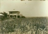 The Settlement of soldiers now known as our little town of El Arish, was originally the Maria Creek Soldiers settlement, and then renamed after a town in Palestine called El Arish, where the Australian Light Horse took El Arish from Turkey forces who had occupied the town.