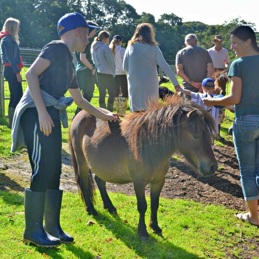 coombemill's tweet photo. Our little miniature ponies are delighted with the attention they are receiving from the guests this week. It's hard to believe that they were so shy when they first came to us.
#staycation2020 #july2000 #countrykidsfun #miniatureshetlandpony #farmholid… https://t.co/7LW44Q7g7E https://t.co/Fqp9c9Snwo