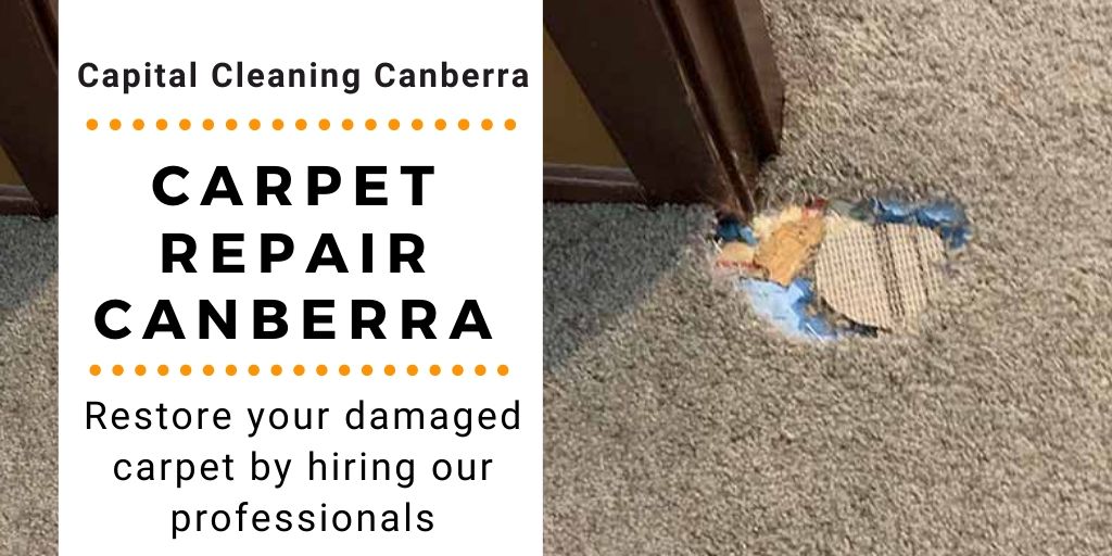 capitalcleanig1's tweet photo. No need to buy a new carpet for a damaged carpet now you can repair it at a low prices. We have professionals for #carpet #repair. Hire Our team and give it a new life. Just visit us🌐 https://t.co/lpfGNUQwl2 👈👈
#canberra #carpetinstallation https://t.co/YFywqZ6Ovm