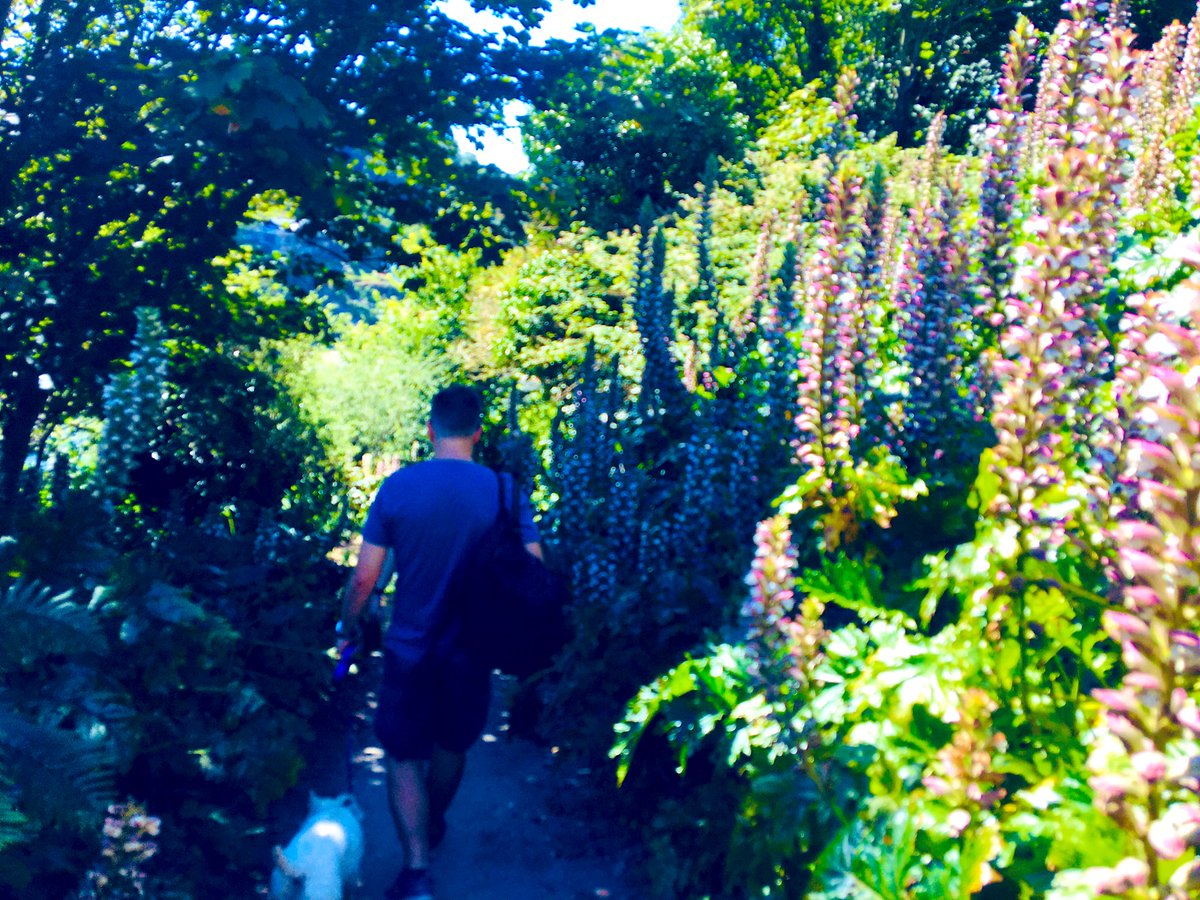 kmljjj's tweet photo. Cornwall you were as beautiful as always 💕 ☀️ #selfcare #feelingrested now home for some family time, before going back into work on Friday https://t.co/hnqkhu72Ay