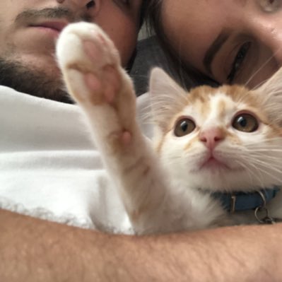 Mes 2 loves 💙💙 #NouvellePhotoDeProfil