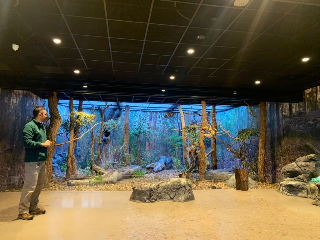 What a refreshing start to Term 3! Had an enjoyable day exploring habitat classrooms &amp; the gorgeous animals <a href="/tarongazoo/">Taronga Zoo</a> 🦒🦓🦘🐅🐊🐘🦍