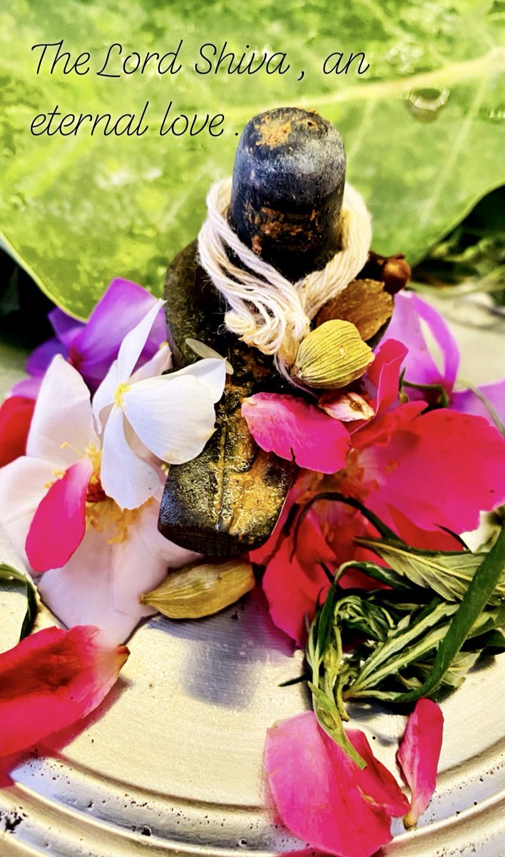 ShikshaShik's tweet photo. Let us pray sacred mantras in the praise of eternal saviour. Wish you be blessed by Lord Shiva. Happy Sawan!  #HarHarMahadev #sawan2020 #sawansomvar #mondaythoughts #MondayVibes #Mahadev #shivratri #shivratri2020 #pray #keep #calm https://t.co/roS9Z2sBSj