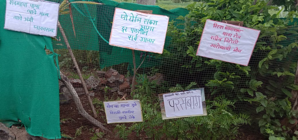 MHsambhaji's tweet photo. Suposhit Anganwadi Suposhan Vatika (परसबाग) @Maha_Poshan @POSHAN_Official @MinistryWCD @IndraMallo https://t.co/CgHK5GYCjd
