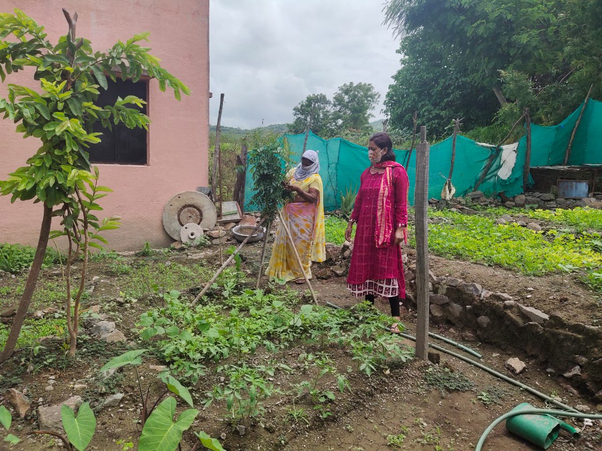 MHsambhaji's tweet photo. Suposhit Anganwadi Suposhan Vatika (परसबाग) @Maha_Poshan @POSHAN_Official @MinistryWCD @IndraMallo https://t.co/CgHK5GYCjd