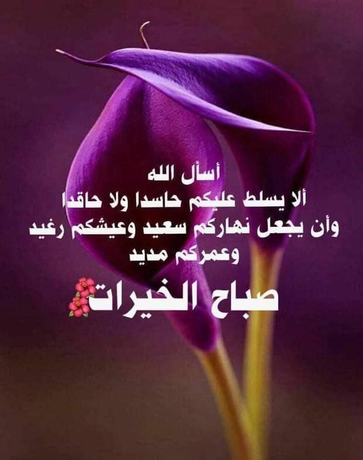 Moslemsbrather's tweet photo. @Sarraslim4 @sami12301638113 https://t.co/5ye5B0XKJu