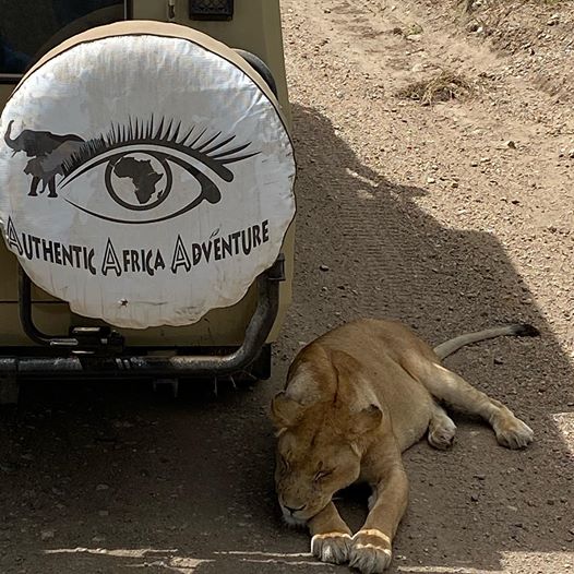 authentic_adv's tweet photo. Authentic Africa Adventure along with our friends wish you to stay safe and protect your self @undertheshade as we wait for these trying times to pass. 
#AuthenticAfricaAdventure
#Serengeti 
#Tanzania 
#tanzaniaunforgettable 
#COVID19 https://t.co/g2bL8Lr3R3