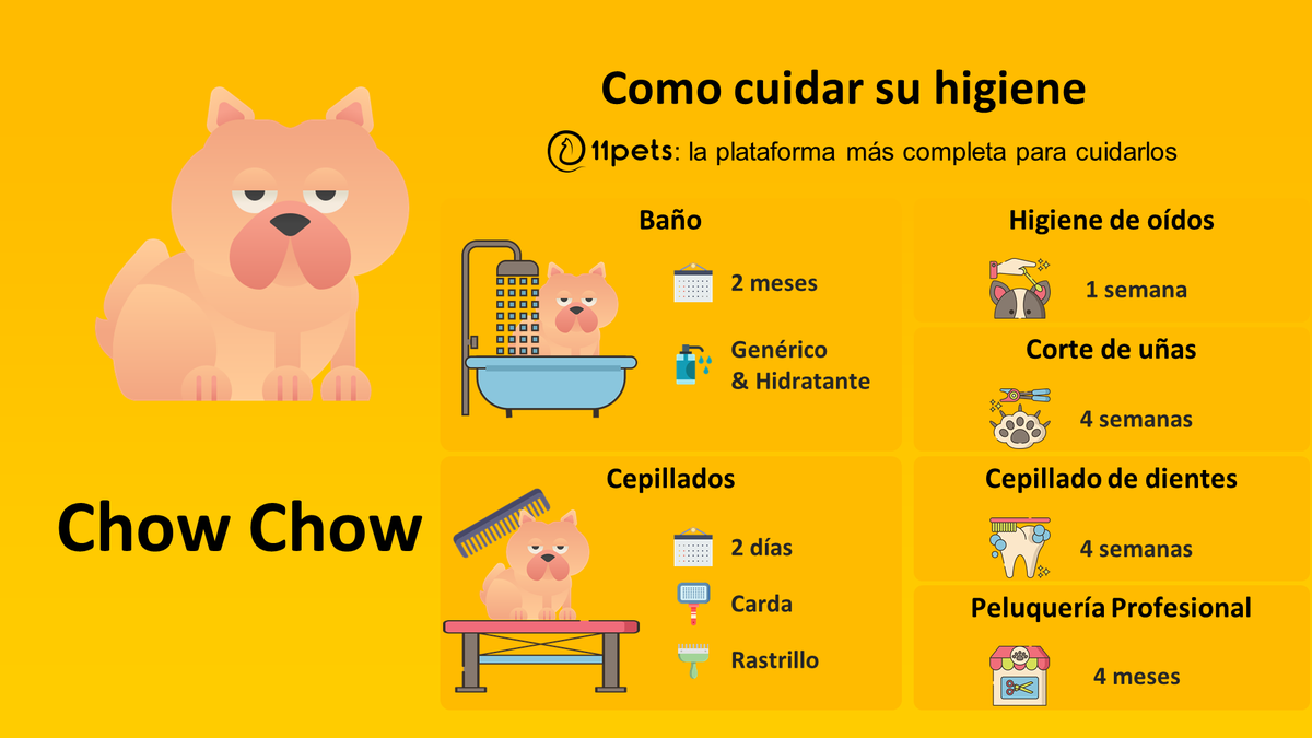 11pets_com's tweet photo. Guía de cuidados de higiene para tu Chow Chow. La aplicación de 11pets te recordará todo lo que tienes que hacer.
https://t.co/HkRGo7coKK…
#chowchow #petcare #pet #appfordogs #appforpets #puppy #11pets #pethealth #cuidar https://t.co/hbXf9lBFtT