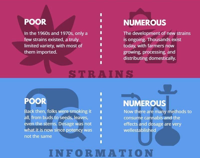 420Loveontario's tweet photo. Cannabis, 1960s vs Now
Come in to our store and check us out on Instagram, Twitter, and YouTube for more engaging and interesting canna-info.
#cannabisindustry #cannabiscommunity420 #cannabiscanada #medicalmarijuana #420love #hamiltonontario #harmont #905 https://t.co/Q0IjIQf8jS https://t.co/FRyx37GtYp