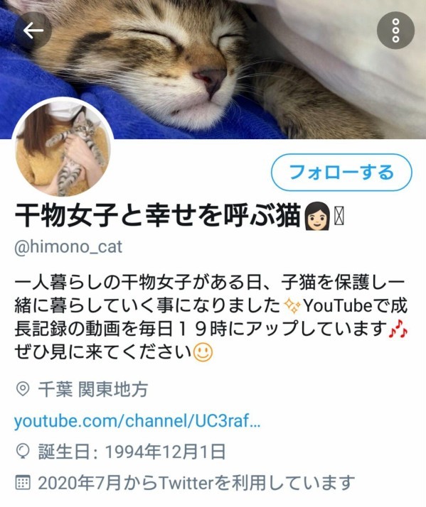 Magician Mirror Sur Twitter 炎上してる 干物女子と幸せを呼ぶ猫 なんて明らかにドラマ化する為に仕組まれた名前だよね 保護してすぐに色々なsnsのアカウント作成して動画投稿するなんて 普通なら猫の世話が落ち着くまで出来ない Youtube 他にも金儲けの為に