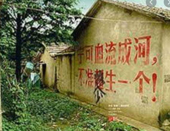 Freedom8964Aus's tweet photo. @RFA_Chinese #CCP #CCPChian #CCPVirus 中共本質是反人類組織
中國共產黨是針對其中華大地轄區内多達十億級人口全面實施強迫管制子宮（計劃生育政策）時間跨度長達40年”國策“之這個時空世界人類有史以來唯一大規模長時間政權級別操作剝奪人類基本生育權的反人類組織。 https://t.co/bfVDvRmgZd