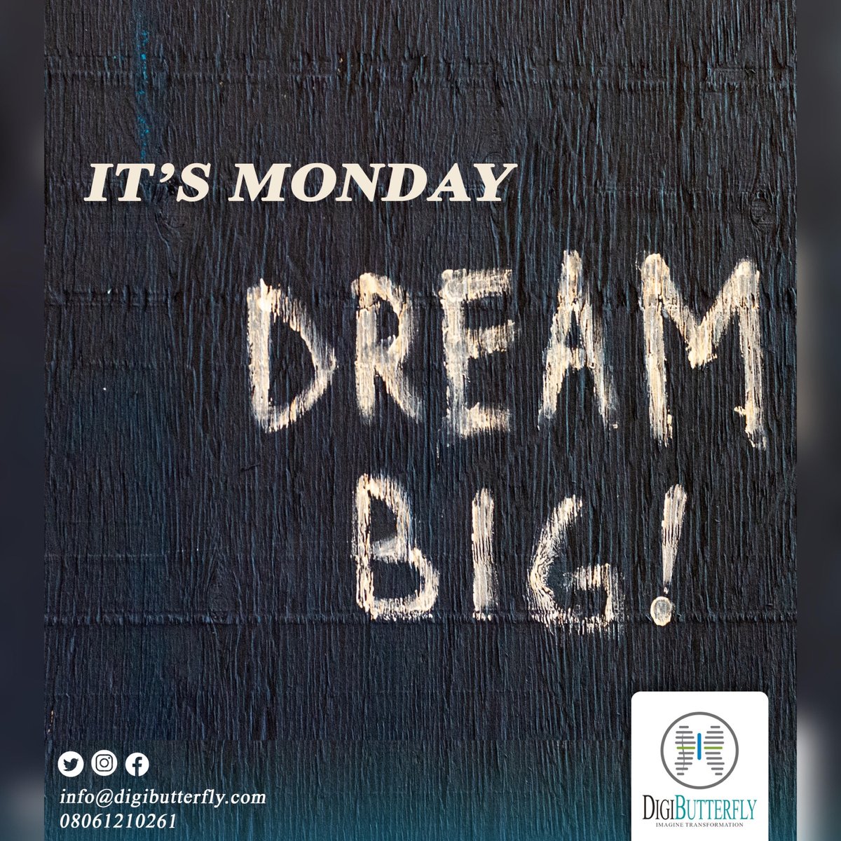 DIGIBUTTERFLYng's tweet photo. Good Morning Everyone! We hope you're not just dreaming but putting in the work! Start up your Monday motivated for the week ahead?
Remember to keep a positive mind cause this gives birth to positive results!โฃ
#digibutterfly https://t.co/mBmBCfSJtb