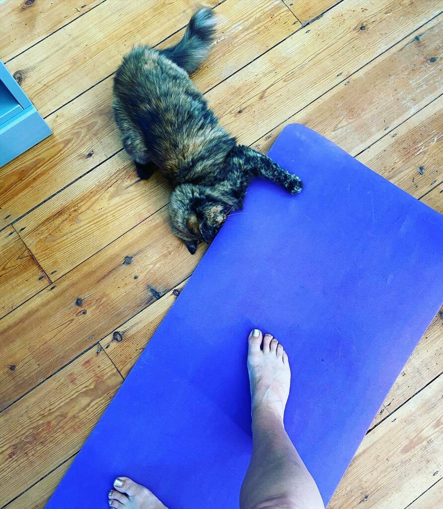 calmpreneur's tweet photo. Umm excuse me puddy cat...it’s time for morning #yoga, not playtime 🧘🏼‍♀️
.
.
.
.
#dailyyoga #yogapractice #yogaathome #yogalife #catsbeingcats #catlife #catsdoingthings #calmingyoga #calmmind #strongbody #calmpreneur #calmpreneurlife #dailyhabits #daily… https://t.co/EMr9NPTyie https://t.co/MzYtCTJI8e