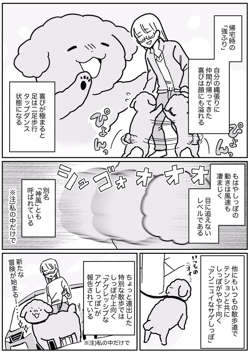 うちの犬のしっぽは感情豊かだし、バトル漫画のような防御力も備わっている。 