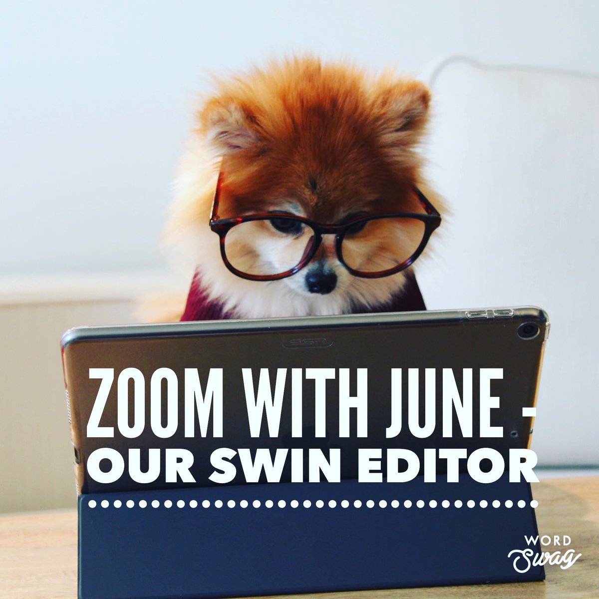 surreyfedwi's tweet photo. Surrey WI News editor June is now on Zoom. If any WI would like to host a session, she would be happy to join a discussion about SWIN &amp; answer any questions about the magazine. You can also see her in all her lockdown hairy glory. Please email surreywinews@yahoo.co.uk https://t.co/UenGKiY2V2