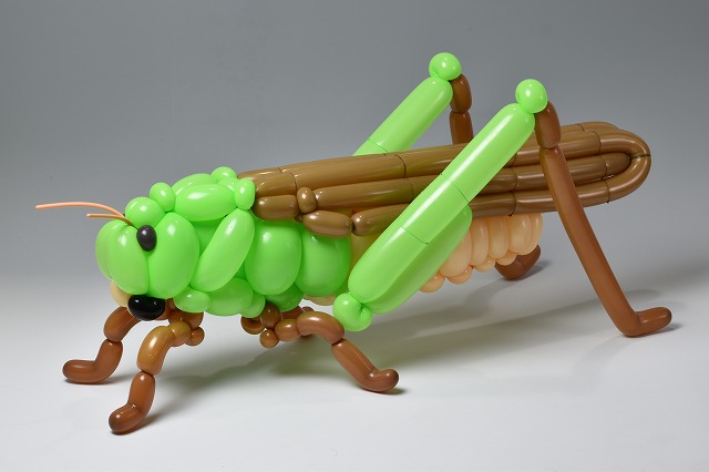 isopresso's tweet photo. バルーンでバッタ

#balloonart #locust #バルーンアート https://t.co/xe5hVmv5LT