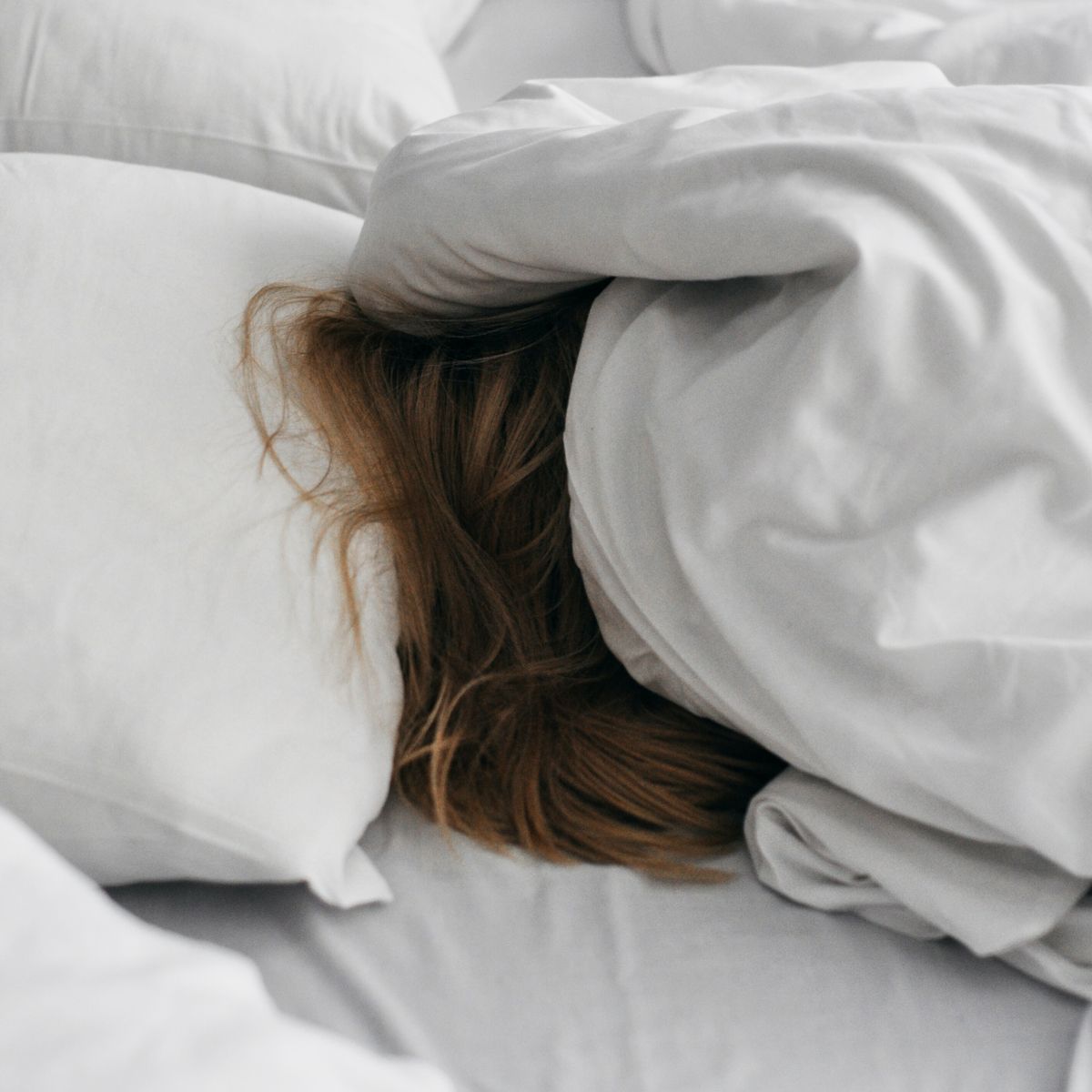 Kip Hotel tweet media