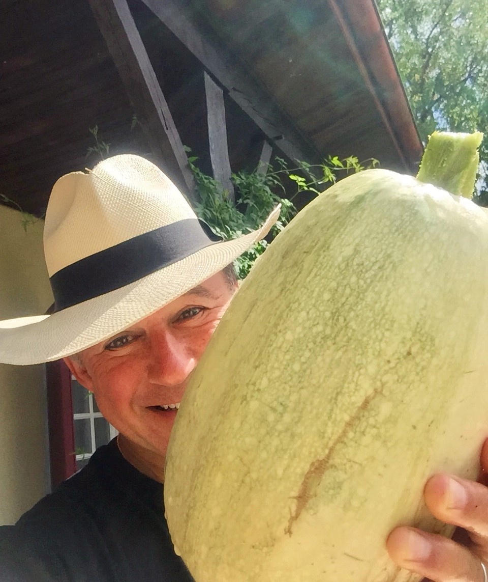 alancoxon's tweet image. Gave birth to this 3kg Spaghetti squash over the weekend. Alas it has 13 siblings in the litter so that is going to keep me going for a while #gardening #MondayMotivation #mondaythoughts #GardenersWorld #seasonal #Food #growyourown #squash #Freshworks #healthy #vegetarian #Vegan