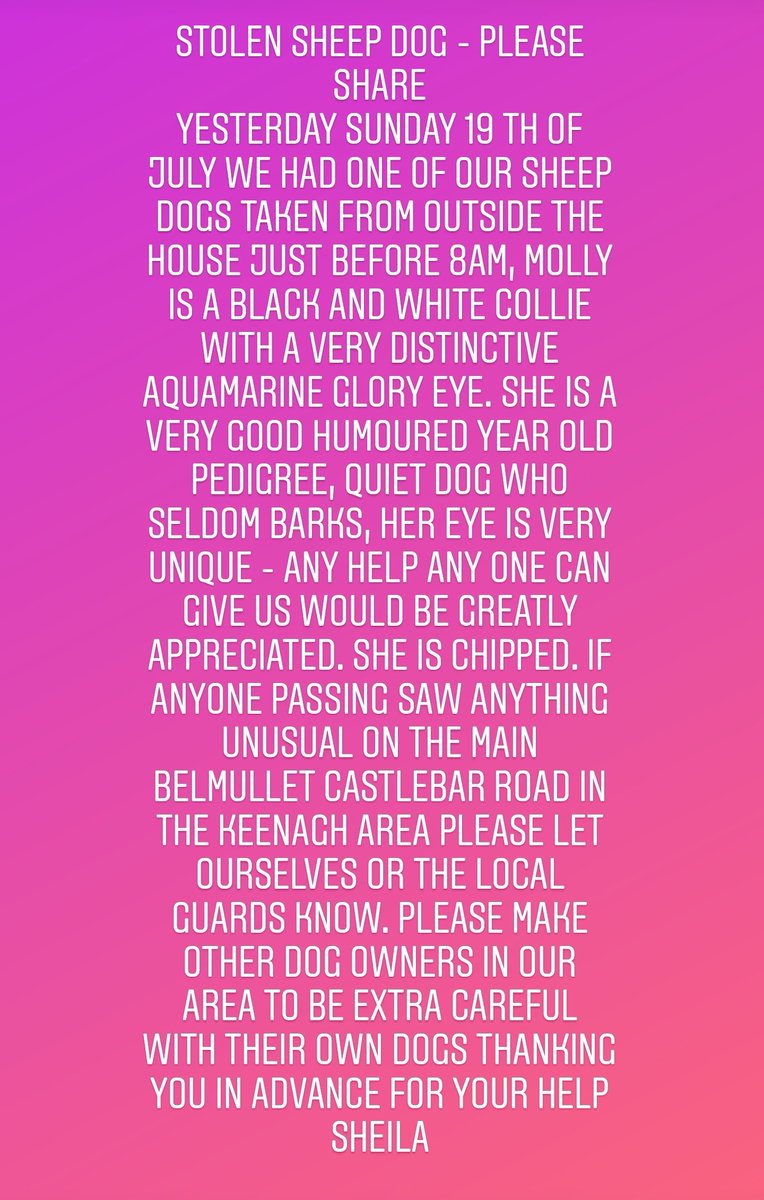 Stolen sheep dog - PLEASE SHARE
 thanking you in advance for your help sheila