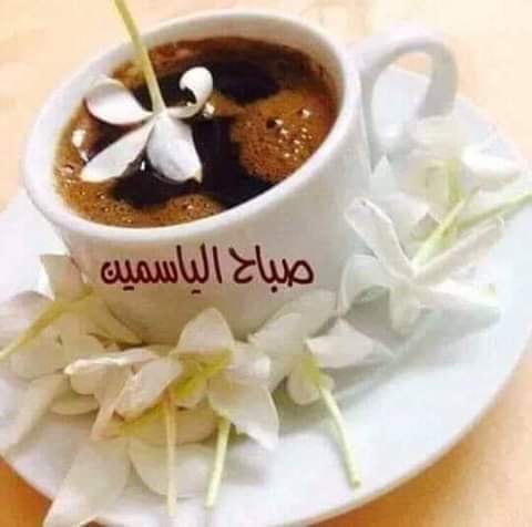 <a href="/Farida68480831/">#تحيامصر🌸Farida🌸</a> صباح الفل والياسمين حببتي 😍