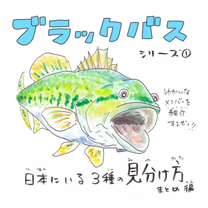 テストに出る!ブラックバスの見分け方 