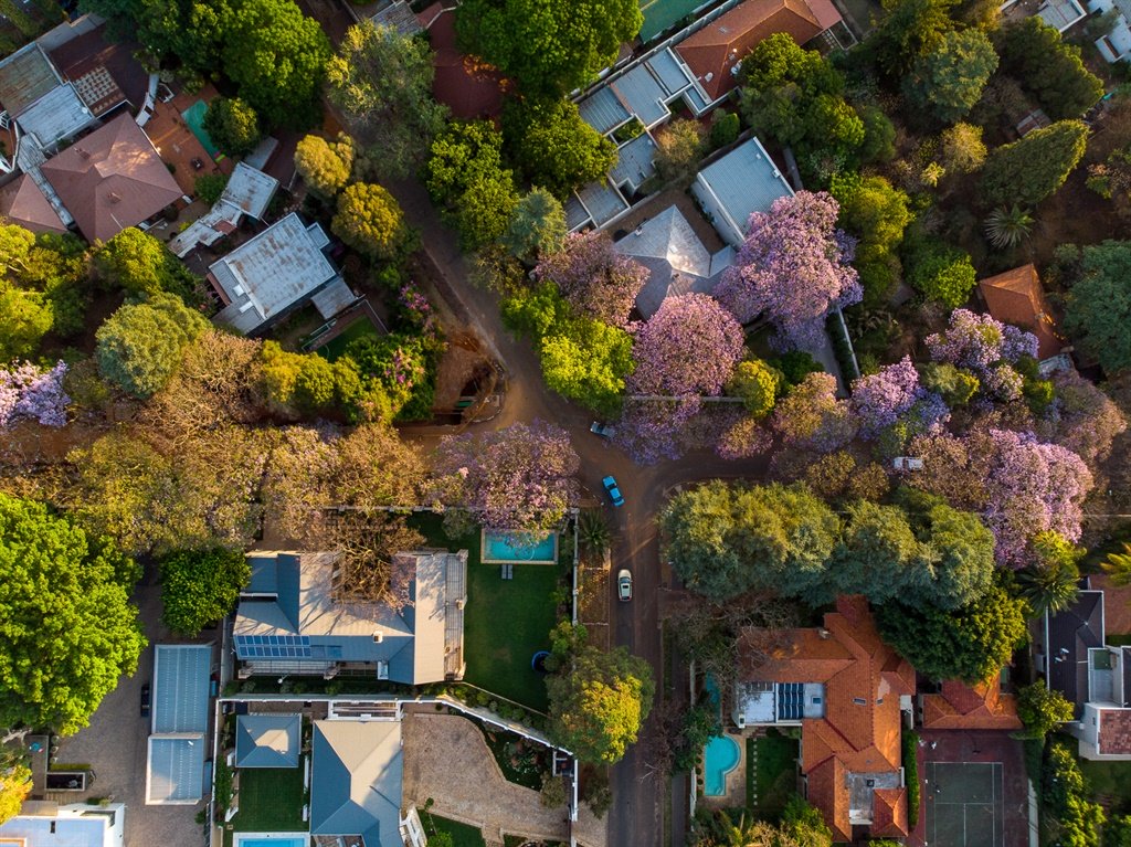 News24 🇿🇦 tweet media