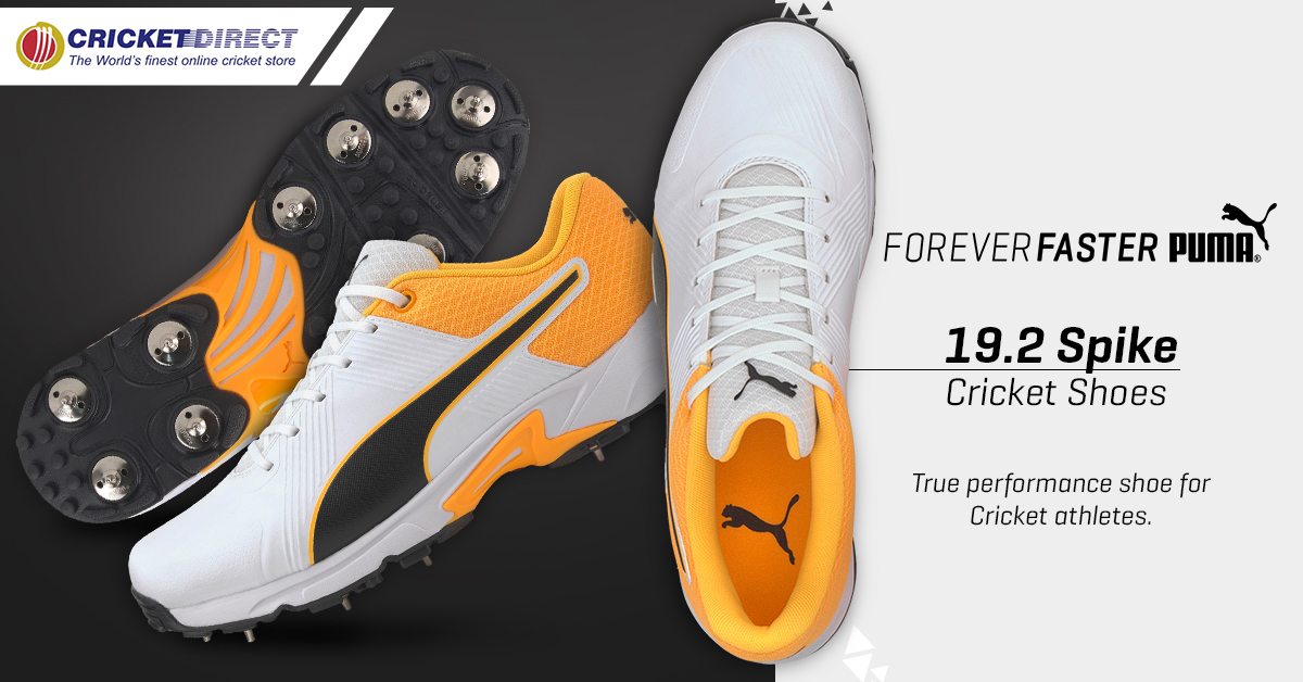 puma 19.2 cricket shoes
