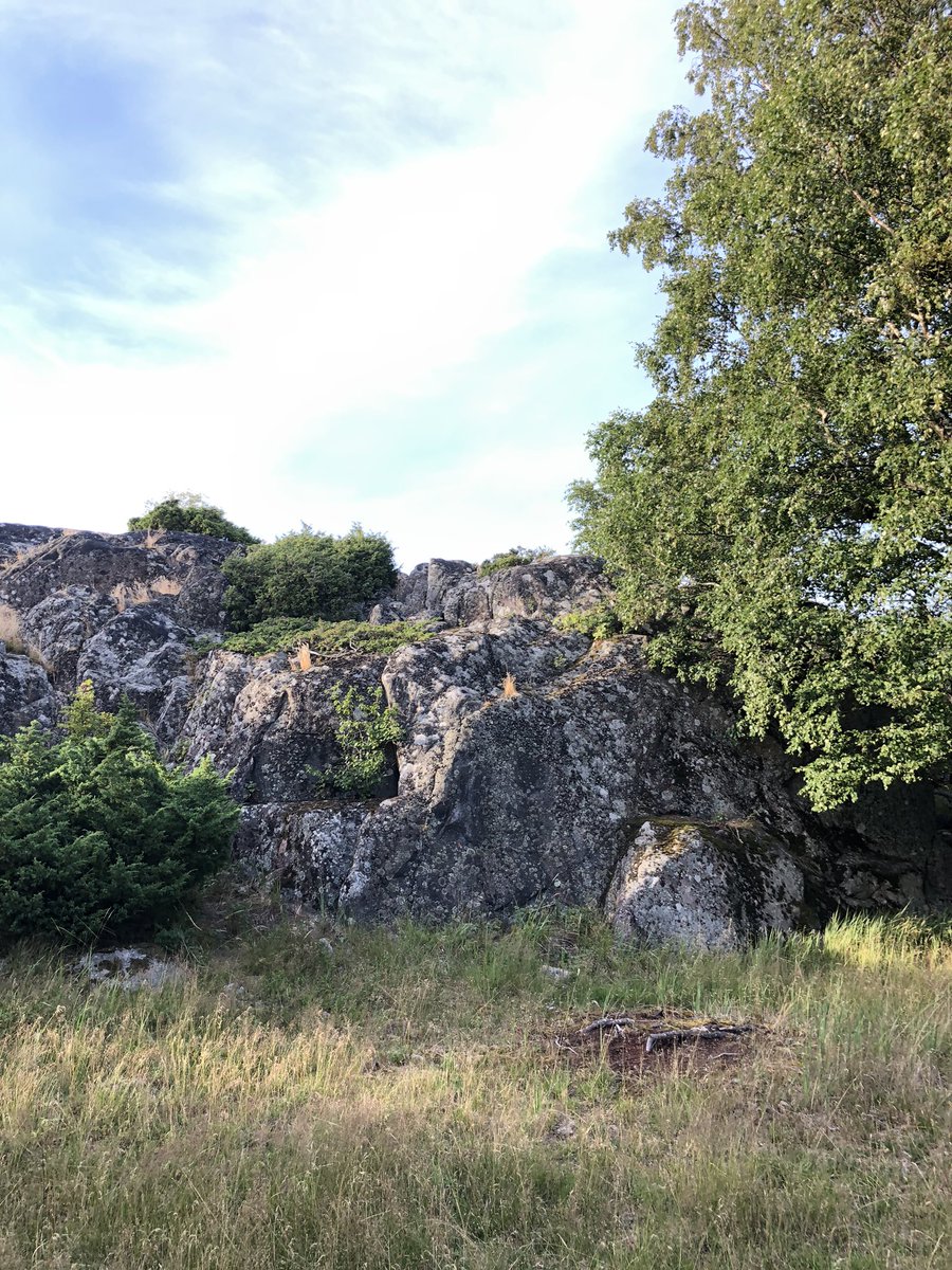 sygalathea's tweet photo. Hienoja maisemia #Yxskär’issä. Saaren kluuvin ympärille on rakentunut aika hienoja luontonähtävyyksiä. Lampaita etsittiin - kuultiin vain kellojen kilinää ja määintää. #purjehdus @Metsahallitus #segling #puuvene https://t.co/u80nBAs6Yj