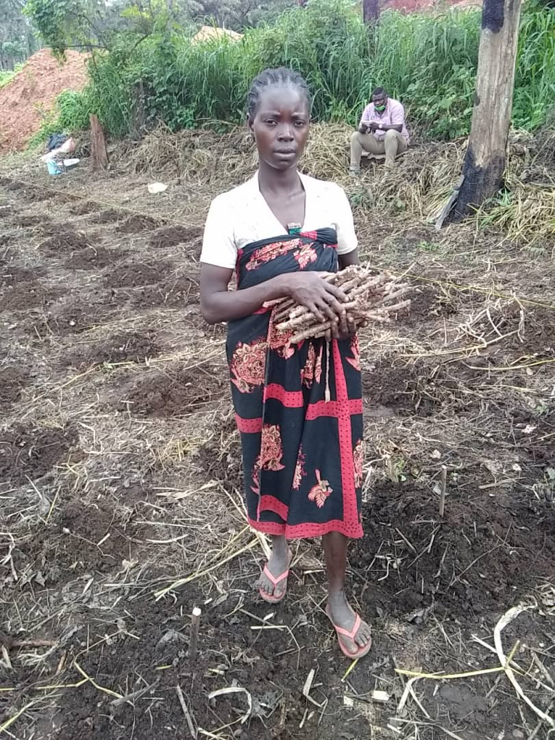 Forest4dev's tweet photo. @Forest4dev ensure food security of artisan miners during #COVID19 pandemic by distributing 4016 banana plants and 85 000 cassava seeds towards : Ensuring financial autonomy after the pandemic and reduce their high dependency on mining activities @UEauCameroun #ProMESS2 https://t.co/1xFJQFiG6Y