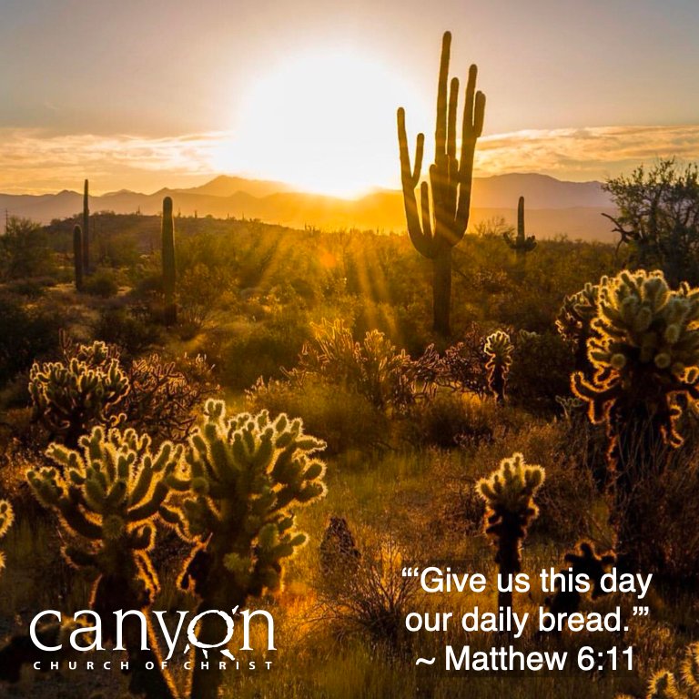 CanyonChurch's tweet image. A Morning Prayer: Dear God, Jesus taught us to pray for our *daily* bread, so we lift up our day to you. Please provide just what we need for today - spiritually, physically, and emotionally. And may we live every moment for you. Amen.
#PrayAlways
#LovingGOD
#MorningDevo