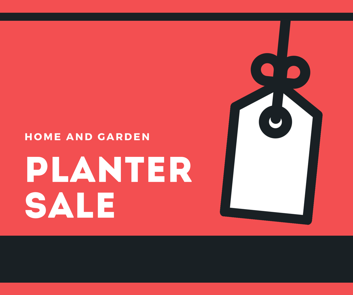 irishplants's tweet photo. This week's planter sale not to be missed https://t.co/ya8A7NRZdS #sale #irishplantsdirect https://t.co/eugwltg93v