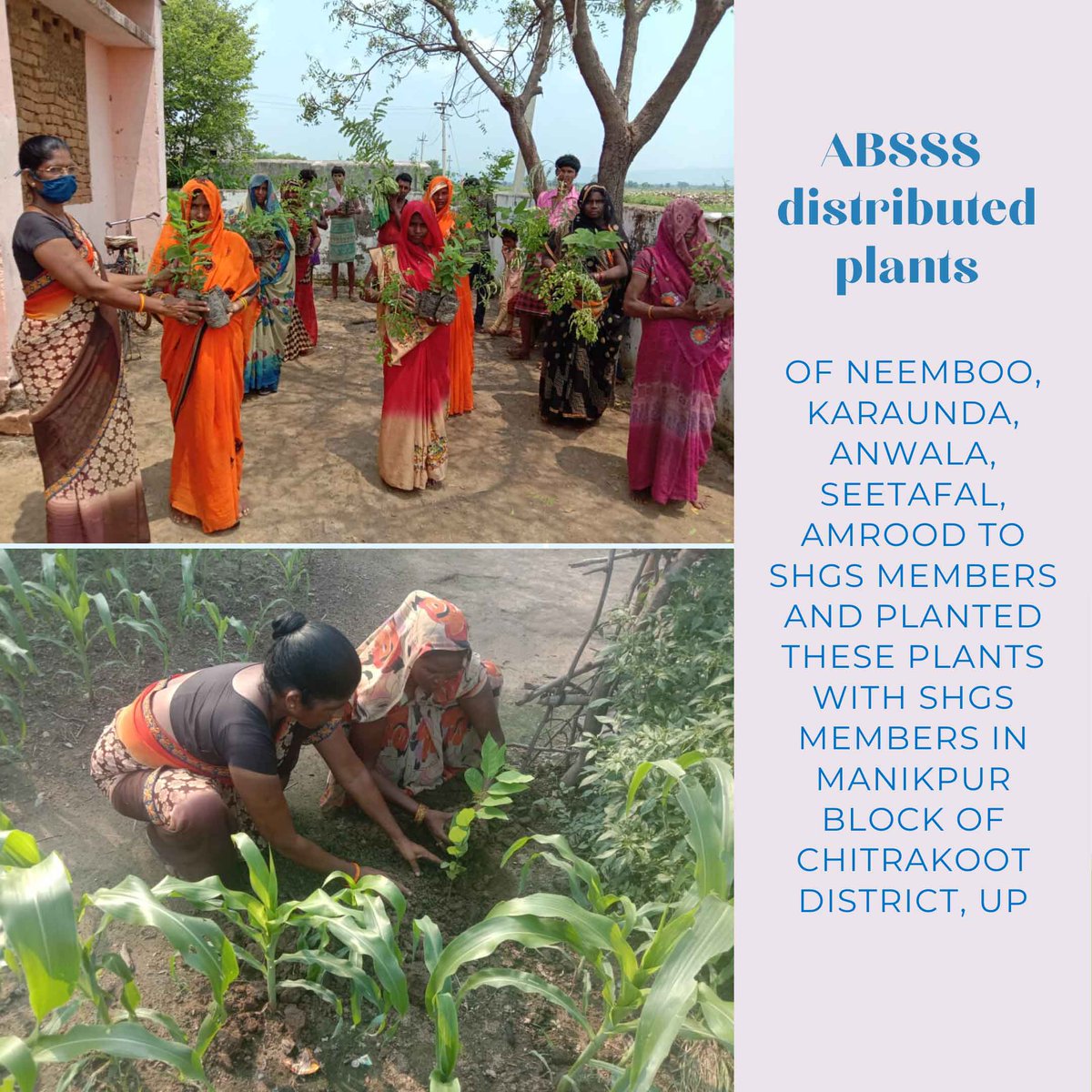 RCRCIndia's tweet photo. #ABSSS has distributed plants of Neemboo, Karaunda, Anwala, Seetafal, Amrood to SHGs members and planted these plants with SHGs members in #Manikpur block of #Chitrakoot District, UP
#rcrccoalition https://t.co/SesLs2ZpIT