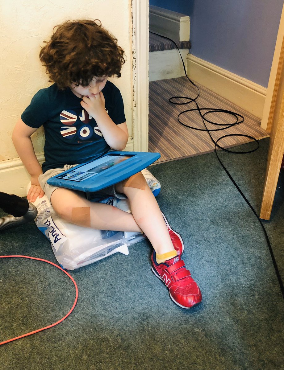 The cutest but most unhelpful coworker I’ve ever had #remotecaptions #SpeechToText #WorkingFromHome #captions #COVID19 #remoteworking #captioning