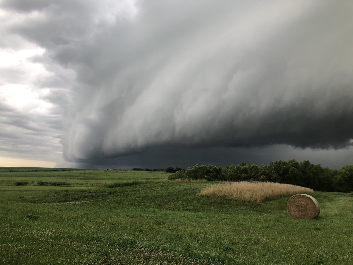 Robert White tweet media