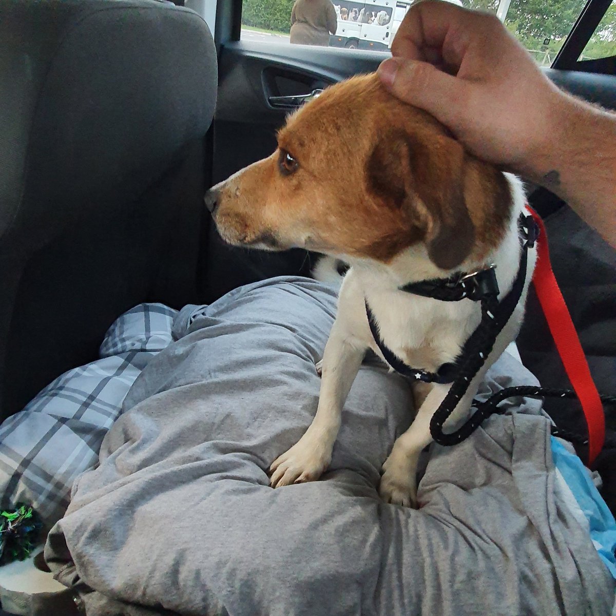 Andy Welsh 👓 tweet media