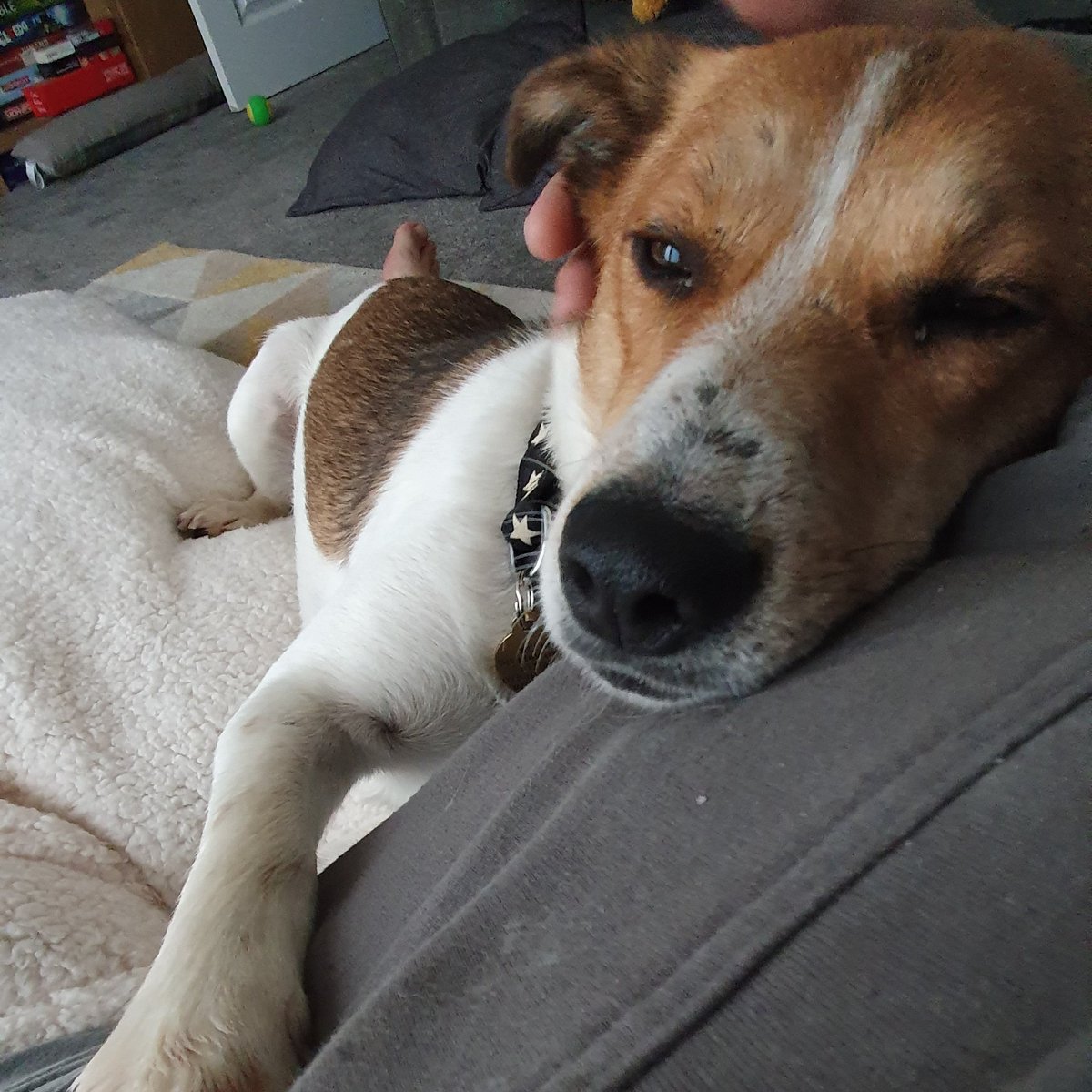 Andy Welsh 👓 tweet media