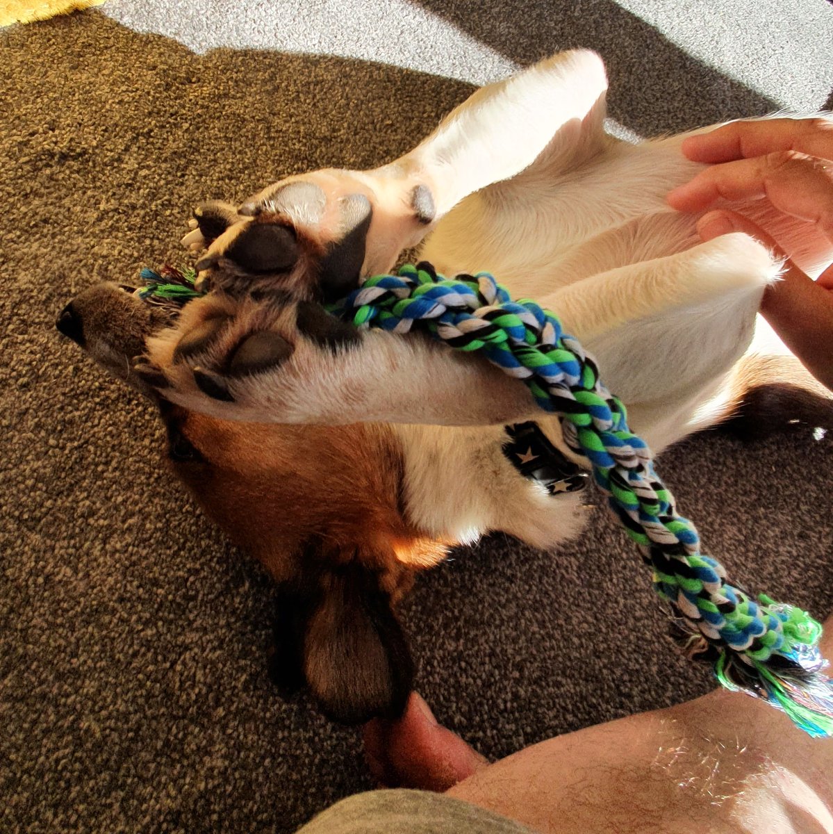 Andy Welsh 👓 tweet media