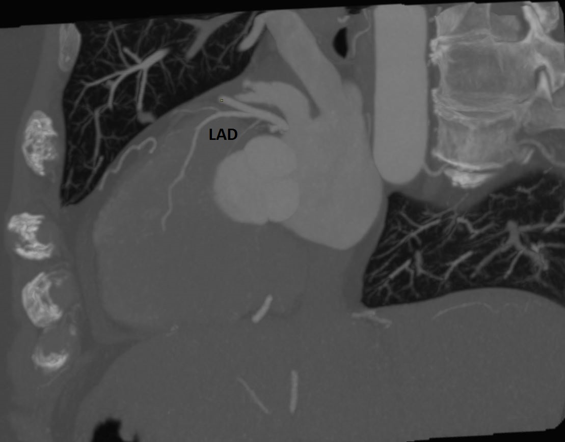 Seth Uretsky tweet media