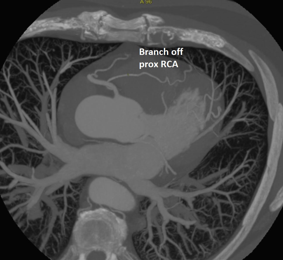 Seth Uretsky tweet media